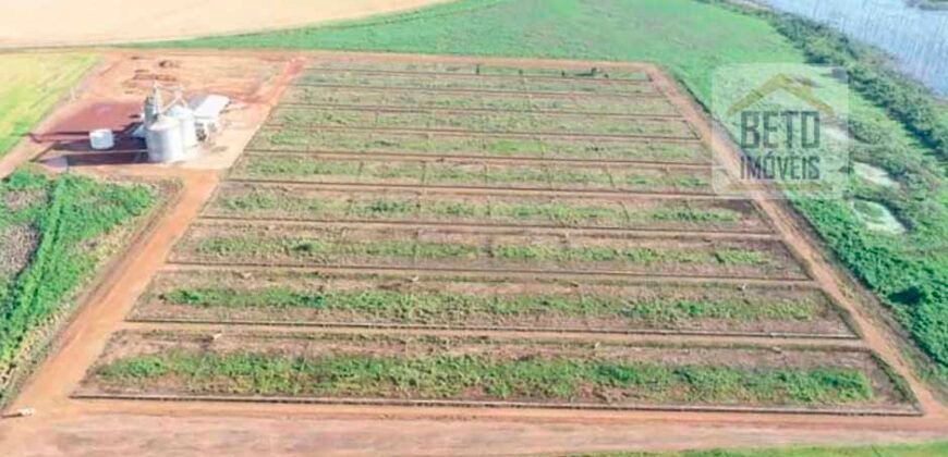 Oportunidade Rara: Fazenda 11.829 hectares Incluso 6.000 cabeças de gado | Jussara/ Goiás