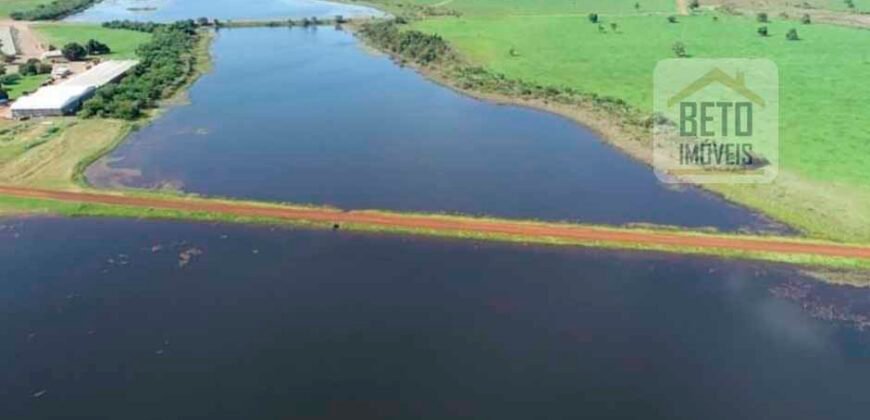 Oportunidade Rara: Fazenda 11.829 hectares Incluso 6.000 cabeças de gado | Jussara/ Goiás