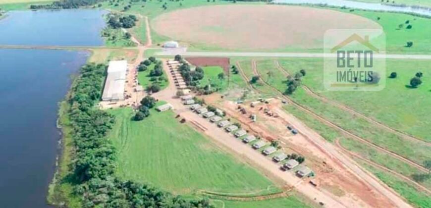 Oportunidade Rara: Fazenda 11.829 hectares Incluso 6.000 cabeças de gado | Jussara/ Goiás