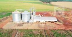 Oportunidade Rara: Fazenda 11.829 hectares Incluso 6.000 cabeças de gado | Jussara/ Goiás