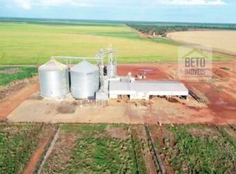 Oportunidade Rara: Fazenda 11.829 hectares Incluso 6.000 cabeças de gado | Jussara/ Goiás