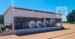 Oportunidade Rara: Fazenda 11.829 hectares Incluso 6.000 cabeças de gado | Jussara/ Goiás