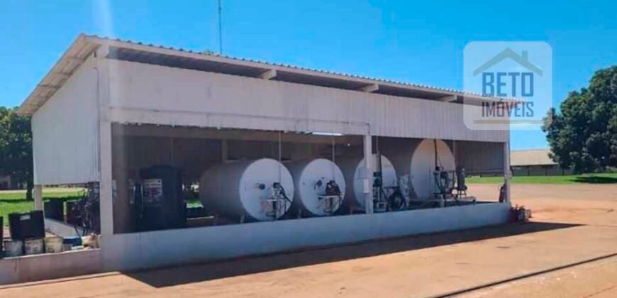 Oportunidade Rara: Fazenda 11.829 hectares Incluso 6.000 cabeças de gado | Jussara/ Goiás