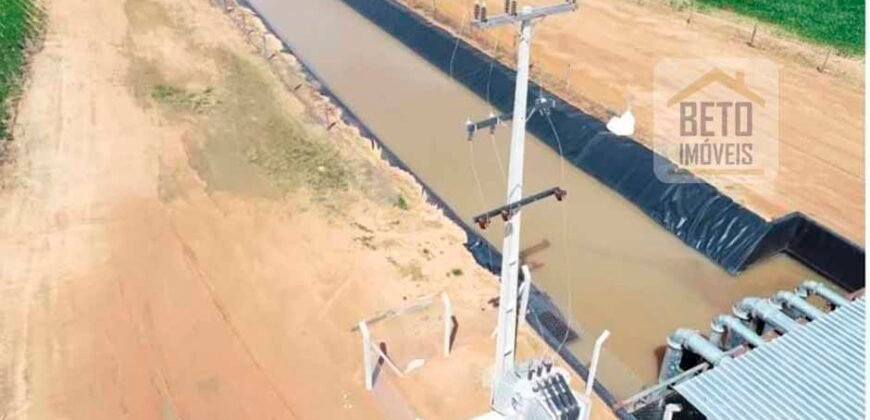 Oportunidade Rara: Fazenda 11.829 hectares Incluso 6.000 cabeças de gado | Jussara/ Goiás