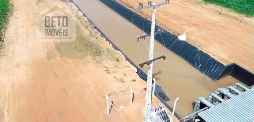 Oportunidade Rara: Fazenda 11.829 hectares Incluso 6.000 cabeças de gado | Jussara/ Goiás