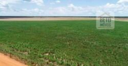 Oportunidade Rara: Fazenda 11.829 hectares Incluso 6.000 cabeças de gado | Jussara/ Goiás