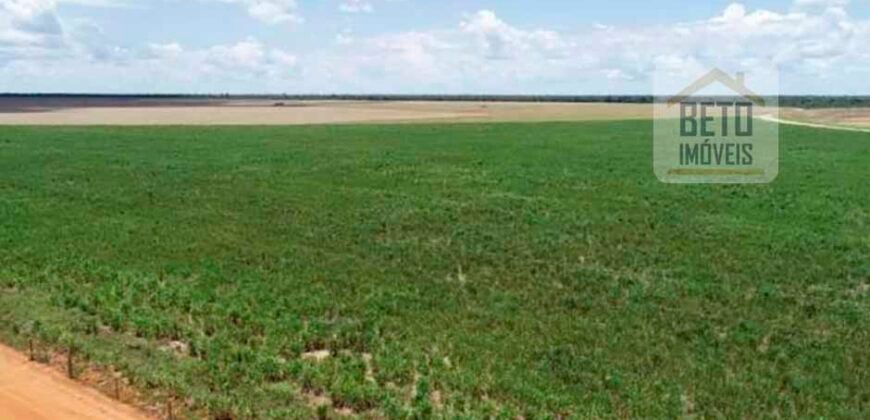 Oportunidade Rara: Fazenda 11.829 hectares Incluso 6.000 cabeças de gado | Jussara/ Goiás