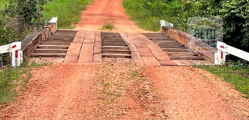 Oportunidade Excepcional! Fazenda com Dupla Aptidão 17.125 Has Porteira fechada 9.725 cabeças de gado | Região de Tocantins