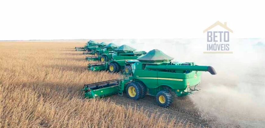 Oportunidade Excepcional! Fazenda com Dupla Aptidão 17.125 Has Porteira fechada 9.725 cabeças de gado | Região de Tocantins