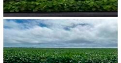 Oportunidade Excepcional! Fazenda com Dupla Aptidão 17.125 Has Porteira fechada 9.725 cabeças de gado | Região de Tocantins