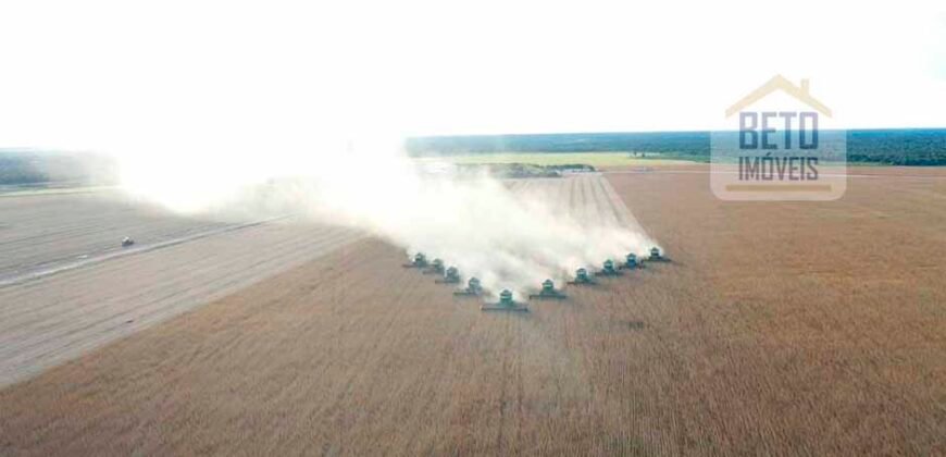 Oportunidade Excepcional! Fazenda com Dupla Aptidão 17.125 Has Porteira fechada 9.725 cabeças de gado | Região de Tocantins