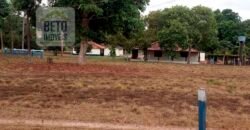 Oportunidade Excepcional! Fazenda com Dupla Aptidão 17.125 Has Porteira fechada 9.725 cabeças de gado | Região de Tocantins