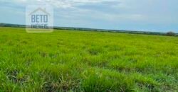 Oportunidade Excepcional! Fazenda com Dupla Aptidão 17.125 Has Porteira fechada 9.725 cabeças de gado | Região de Tocantins