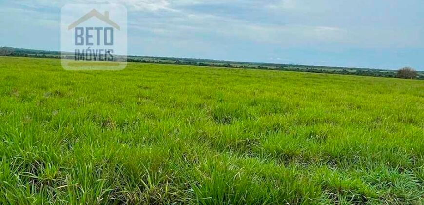 Oportunidade Excepcional! Fazenda com Dupla Aptidão 17.125 Has Porteira fechada 9.725 cabeças de gado | Região de Tocantins