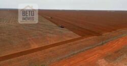 Ótimo Negócio! Fazenda com Dupla Aptidão 17.844 hectares com 6 mil cabeças de gado | Tangará da Serra/MT