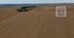 Ótimo Negócio! Fazenda com Dupla Aptidão 17.844 hectares com 6 mil cabeças de gado | Tangará da Serra/MT