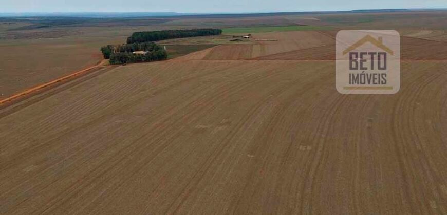 Ótimo Negócio! Fazenda com Dupla Aptidão 17.844 hectares com 6 mil cabeças de gado | Tangará da Serra/MT