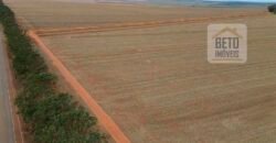 Ótimo Negócio! Fazenda com Dupla Aptidão 17.844 hectares com 6 mil cabeças de gado | Tangará da Serra/MT