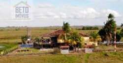 Oportunidade Única: Fazenda de Criação de Búfalos com 30.000 hectares | Chaves, Ilha de Marajó/ PA Oportunidade Única: Fazenda de Criação de Búfalos com 30.000 hectares | Chaves, Ilha de Marajó/ PA
