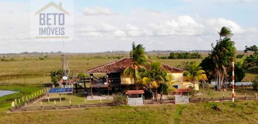 Oportunidade Única: Fazenda de Criação de Búfalos com 30.000 hectares | Chaves, Ilha de Marajó/ PA Oportunidade Única: Fazenda de Criação de Búfalos com 30.000 hectares | Chaves, Ilha de Marajó/ PA