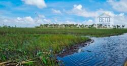 Oportunidade Única: Fazenda de Criação de Búfalos com 30.000 hectares | Chaves, Ilha de Marajó/ PA Oportunidade Única: Fazenda de Criação de Búfalos com 30.000 hectares | Chaves, Ilha de Marajó/ PA
