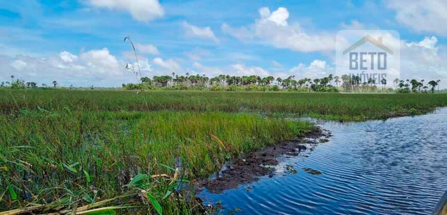 Oportunidade Única: Fazenda de Criação de Búfalos com 30.000 hectares | Chaves, Ilha de Marajó/ PA Oportunidade Única: Fazenda de Criação de Búfalos com 30.000 hectares | Chaves, Ilha de Marajó/ PA