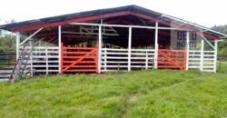 Oportunidade Única: Fazenda de Criação de Búfalos com 30.000 hectares | Chaves, Ilha de Marajó/ PA Oportunidade Única: Fazenda de Criação de Búfalos com 30.000 hectares | Chaves, Ilha de Marajó/ PA