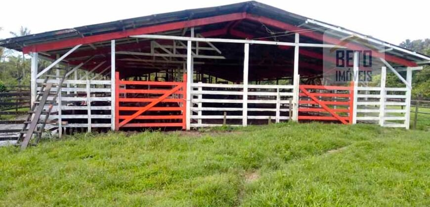 Oportunidade Única: Fazenda de Criação de Búfalos com 30.000 hectares | Chaves, Ilha de Marajó/ PA Oportunidade Única: Fazenda de Criação de Búfalos com 30.000 hectares | Chaves, Ilha de Marajó/ PA