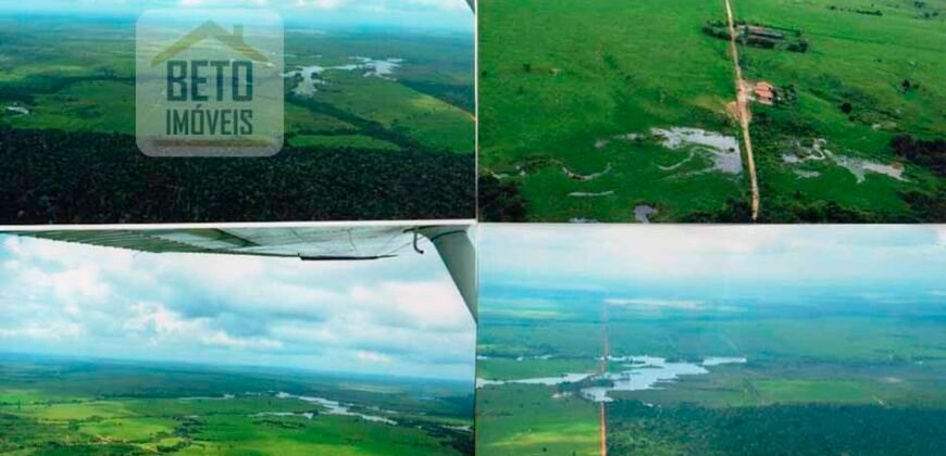 Oportunidade Única: Fazenda de Criação de Búfalos com 30.000 hectares | Chaves, Ilha de Marajó/ PA Oportunidade Única: Fazenda de Criação de Búfalos com 30.000 hectares | Chaves, Ilha de Marajó/ PA