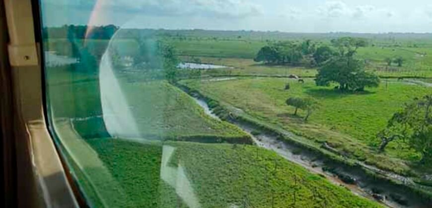 Oportunidade Única: Fazenda de Criação de Búfalos com 30.000 hectares | Chaves, Ilha de Marajó/ PA Oportunidade Única: Fazenda de Criação de Búfalos com 30.000 hectares | Chaves, Ilha de Marajó/ PA