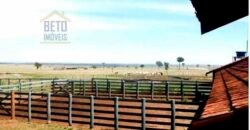 Oportunidade única! Fazenda excepcional área inicial de 1017 alqueires Infraestrutura Completa| Ourinhos/ SP Oportunidade única! Fazenda excepcional área inicial de 1017 alqueires Infraestrutura Completa| Ourinhos/ SP