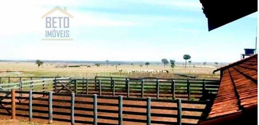 Oportunidade única! Fazenda excepcional área inicial de 1017 alqueires Infraestrutura Completa| Ourinhos/ SP Oportunidade única! Fazenda excepcional área inicial de 1017 alqueires Infraestrutura Completa| Ourinhos/ SP