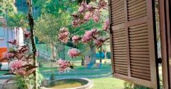 Oportunidade de Lazer: Sítio de 7 Alqueires com piscina e parquinhos | Frade, Macaé/ RJ Oportunidade de Lazer: Sítio de 7 Alqueires com piscina e parquinhos | Frade, Macaé/ RJ