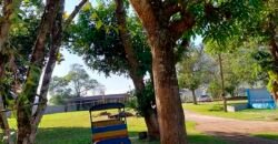 Oportunidade de Lazer: Sítio de 7 Alqueires com piscina e parquinhos | Frade, Macaé/ RJ Oportunidade de Lazer: Sítio de 7 Alqueires com piscina e parquinhos | Frade, Macaé/ RJ