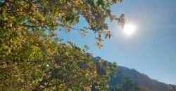 Oportunidade de Lazer: Sítio de 7 Alqueires com piscina e parquinhos | Frade, Macaé/ RJ Oportunidade de Lazer: Sítio de 7 Alqueires com piscina e parquinhos | Frade, Macaé/ RJ