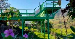 Oportunidade de Lazer: Sítio de 7 Alqueires com piscina e parquinhos | Frade, Macaé/ RJ Oportunidade de Lazer: Sítio de 7 Alqueires com piscina e parquinhos | Frade, Macaé/ RJ