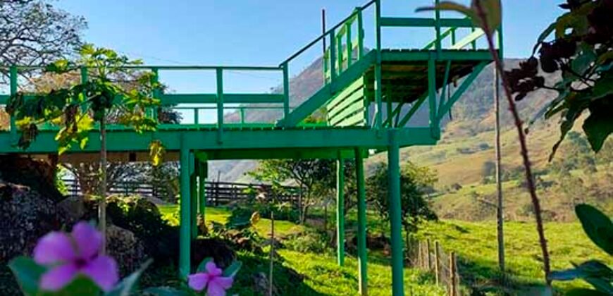 Oportunidade de Lazer: Sítio de 7 Alqueires com piscina e parquinhos | Frade, Macaé/ RJ Oportunidade de Lazer: Sítio de 7 Alqueires com piscina e parquinhos | Frade, Macaé/ RJ