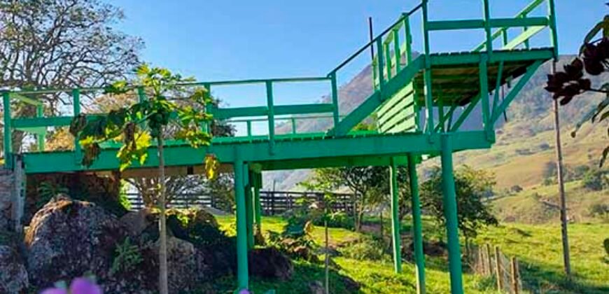 Oportunidade de Lazer: Sítio de 7 Alqueires com piscina e parquinhos | Frade, Macaé/ RJ Oportunidade de Lazer: Sítio de 7 Alqueires com piscina e parquinhos | Frade, Macaé/ RJ