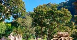 Oportunidade de Lazer: Sítio de 7 Alqueires com piscina e parquinhos | Frade, Macaé/ RJ Oportunidade de Lazer: Sítio de 7 Alqueires com piscina e parquinhos | Frade, Macaé/ RJ