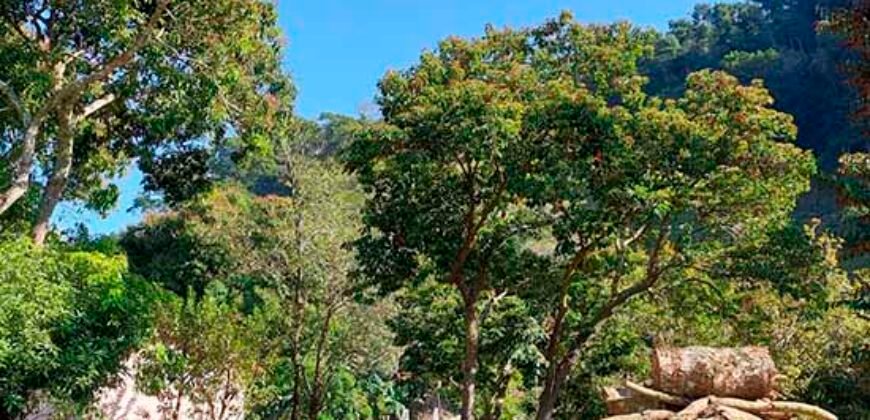 Oportunidade de Lazer: Sítio de 7 Alqueires com piscina e parquinhos | Frade, Macaé/ RJ Oportunidade de Lazer: Sítio de 7 Alqueires com piscina e parquinhos | Frade, Macaé/ RJ