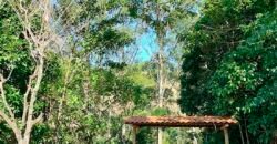 Oportunidade de Lazer: Sítio de 7 Alqueires com piscina e parquinhos | Frade, Macaé/ RJ Oportunidade de Lazer: Sítio de 7 Alqueires com piscina e parquinhos | Frade, Macaé/ RJ