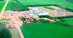 Oportunidade Única: Fazenda de Dupla Aptidão com Fábrica de Biodiesel e Pista de pouso | Nova Mutum/ MT