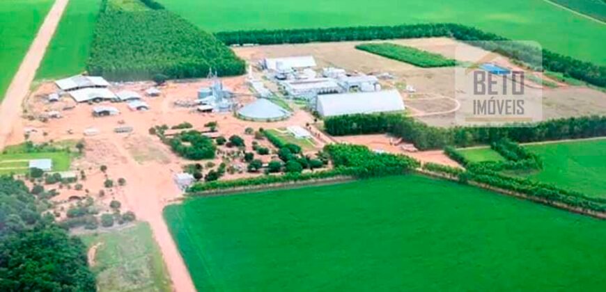 Oportunidade Única: Fazenda de Dupla Aptidão com Fábrica de Biodiesel e Pista de pouso | Nova Mutum/ MT