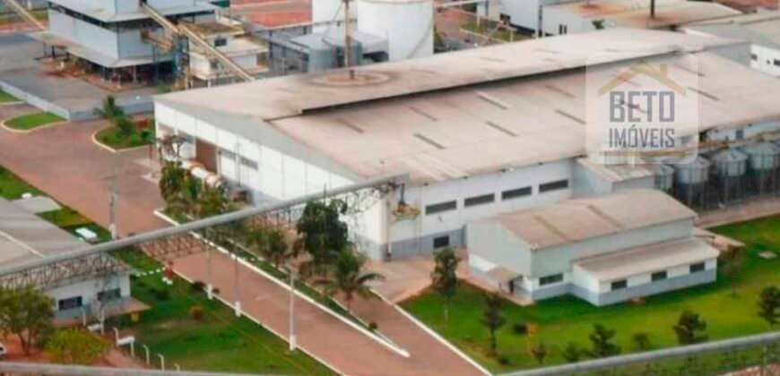 Oportunidade Única: Fazenda de Dupla Aptidão com Fábrica de Biodiesel e Pista de pouso | Nova Mutum/ MT