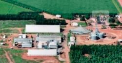 Oportunidade Única: Fazenda de Dupla Aptidão com Fábrica de Biodiesel e Pista de pouso | Nova Mutum/ MT