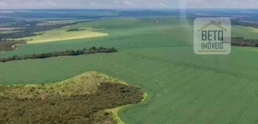 Oportunidade Única: Fazenda de Dupla Aptidão com Fábrica de Biodiesel e Pista de pouso | Nova Mutum/ MT