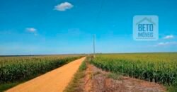 Oportunidade Única: Fazenda de Dupla Aptidão com Fábrica de Biodiesel e Pista de pouso | Nova Mutum/ MT