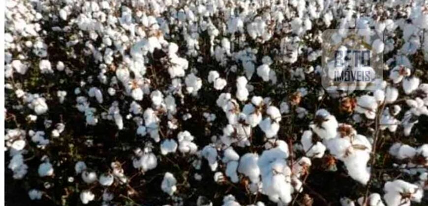 Oportunidade Única: Fazenda de Dupla Aptidão com Fábrica de Biodiesel e Pista de pouso | Nova Mutum/ MT