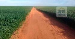 Oportunidade Única: Fazenda de Dupla Aptidão com Fábrica de Biodiesel e Pista de pouso | Nova Mutum/ MT