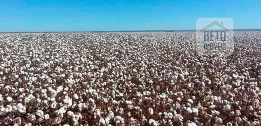 Oportunidade Única: Fazenda de Dupla Aptidão com Fábrica de Biodiesel e Pista de pouso | Nova Mutum/ MT